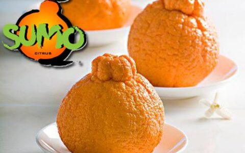 Frieda's Specialty Produce - What's on Karen's Plate? - Sumo Citrus