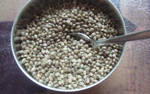 Frieda's Specialty Produce - What's on Karen's Plate? - Hemp seeds (Wikipedia)