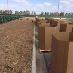 Frieda's Specialty Produce - What's on Karen's Plate? - Cauliflower bins