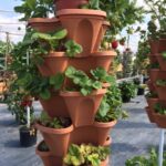 Frieda's Specialty Produce - What's on Karen's Plate? - Vertical garden