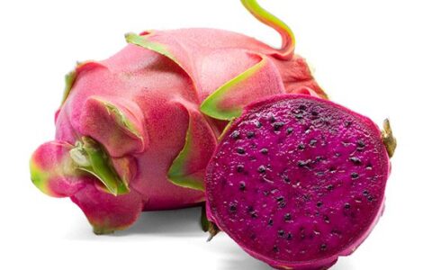 Frieda's Specialty Produce: Red Dragon Fruit