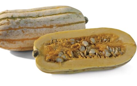 Frieda's Specialty Produce - Delicata Squash