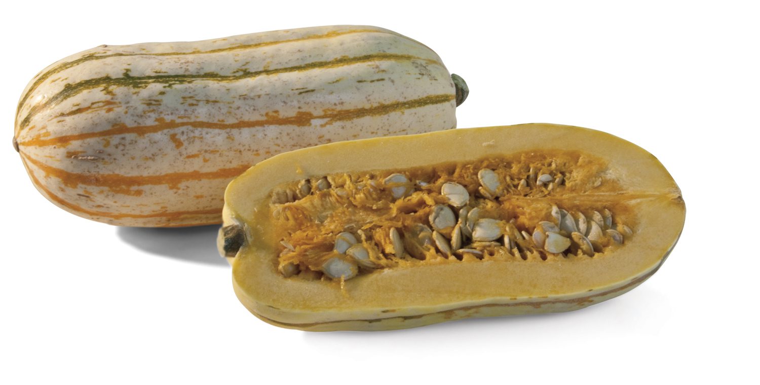 Frieda's Specialty Produce - Delicata Squash