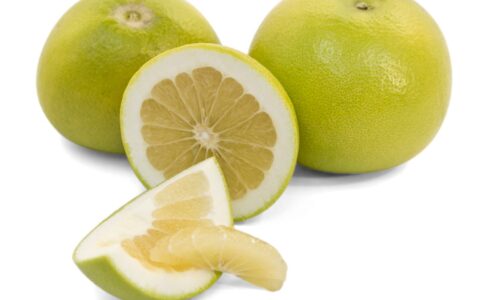 Frieda's Specialty Produce - Oroblanco