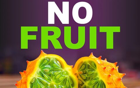 Fear No Fruit: The Frieda Caplan Documentary