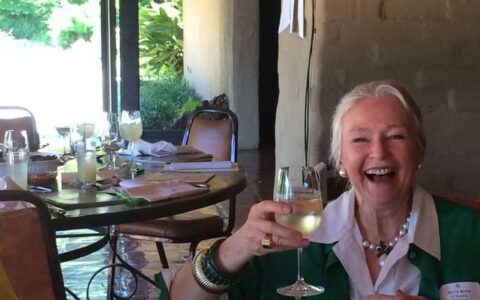 Jerry Anne Di Vecchio