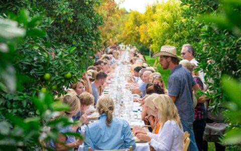 OutstandingintheField-SteadfastFarm