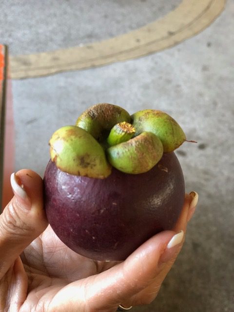 Mangosteen in Hawaii